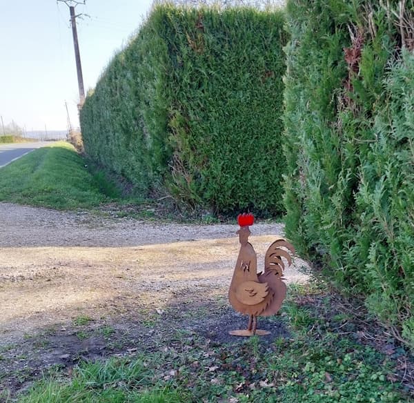 Le coq qui rouille